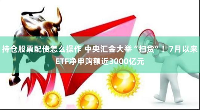 持仓股票配债怎么操作 中央汇金大举“扫货”！7月以来ETF净申购额近3000亿元
