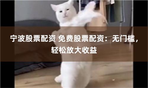 宁波股票配资 免费股票配资：无门槛，轻松放大收益