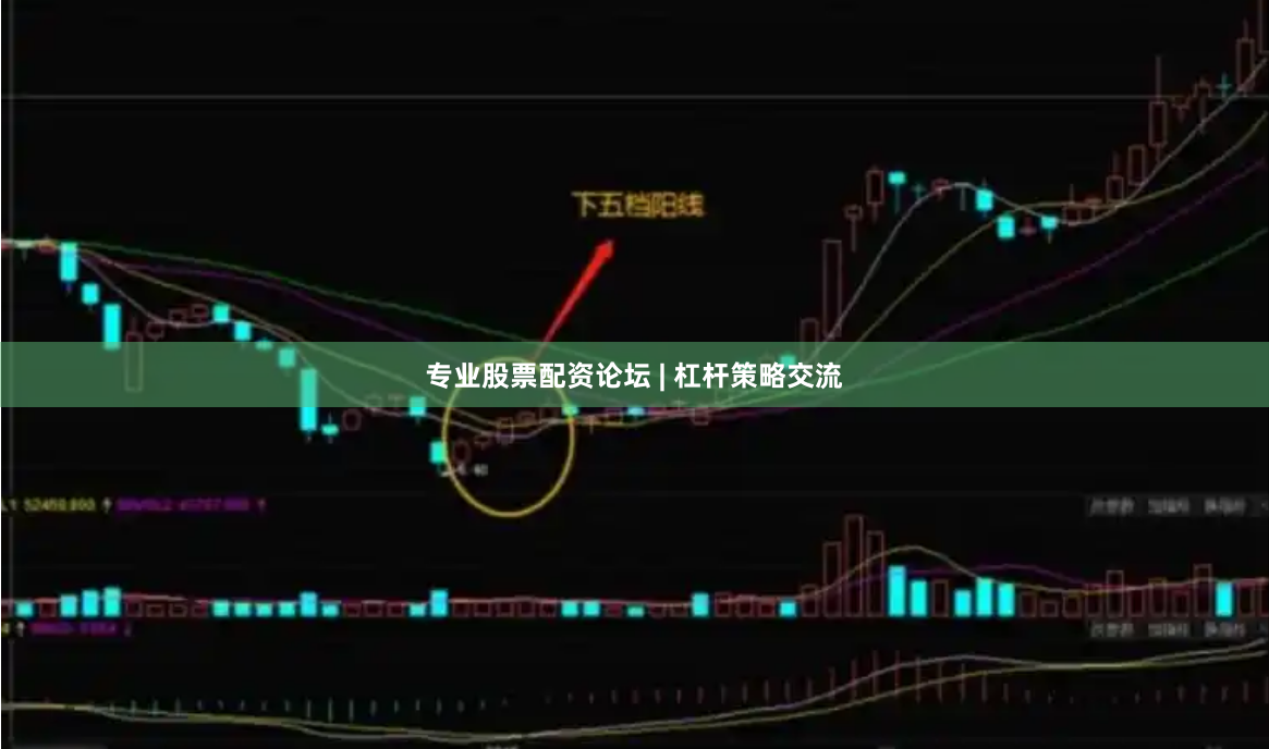 专业股票配资论坛 | 杠杆策略交流