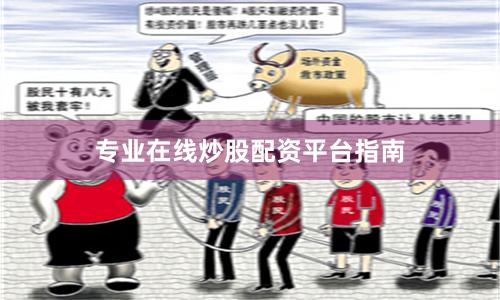 专业在线炒股配资平台指南