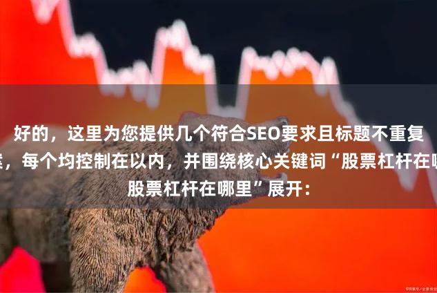 好的，这里为您提供几个符合SEO要求且标题不重复的标题方案，每个均控制在以内，并围绕核心关键词“股票杠杆在哪里”展开：
